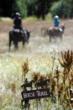 Harvest Dinners To Feature Outdoor Activities at Drakesbad Guest Ranch